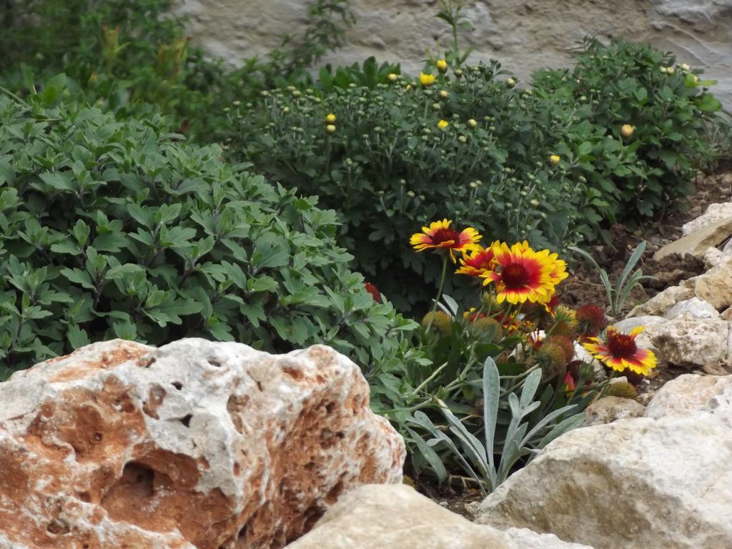 Adriatic View Villa غليفادا الغرفة الصورة